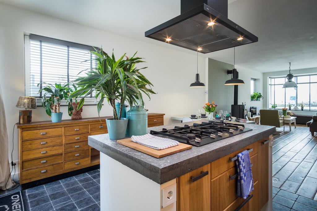Wijkiki Surf House Apartment Wijk aan Zee Luaran gambar